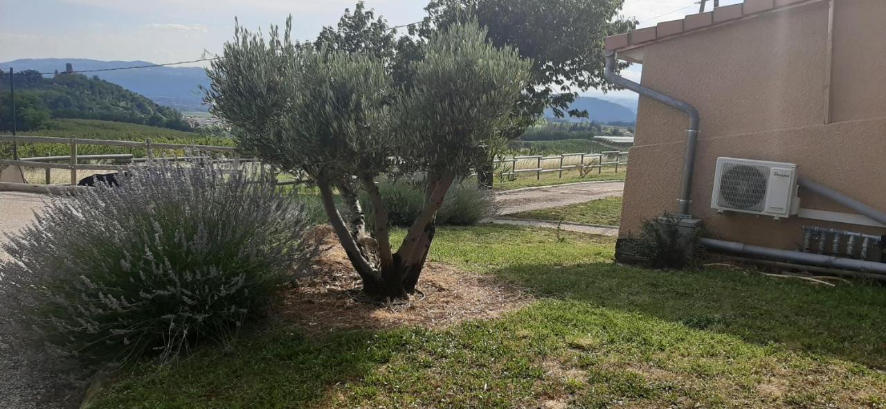 Le Pressoir Villa Mercurol-Veaunes Exterior foto